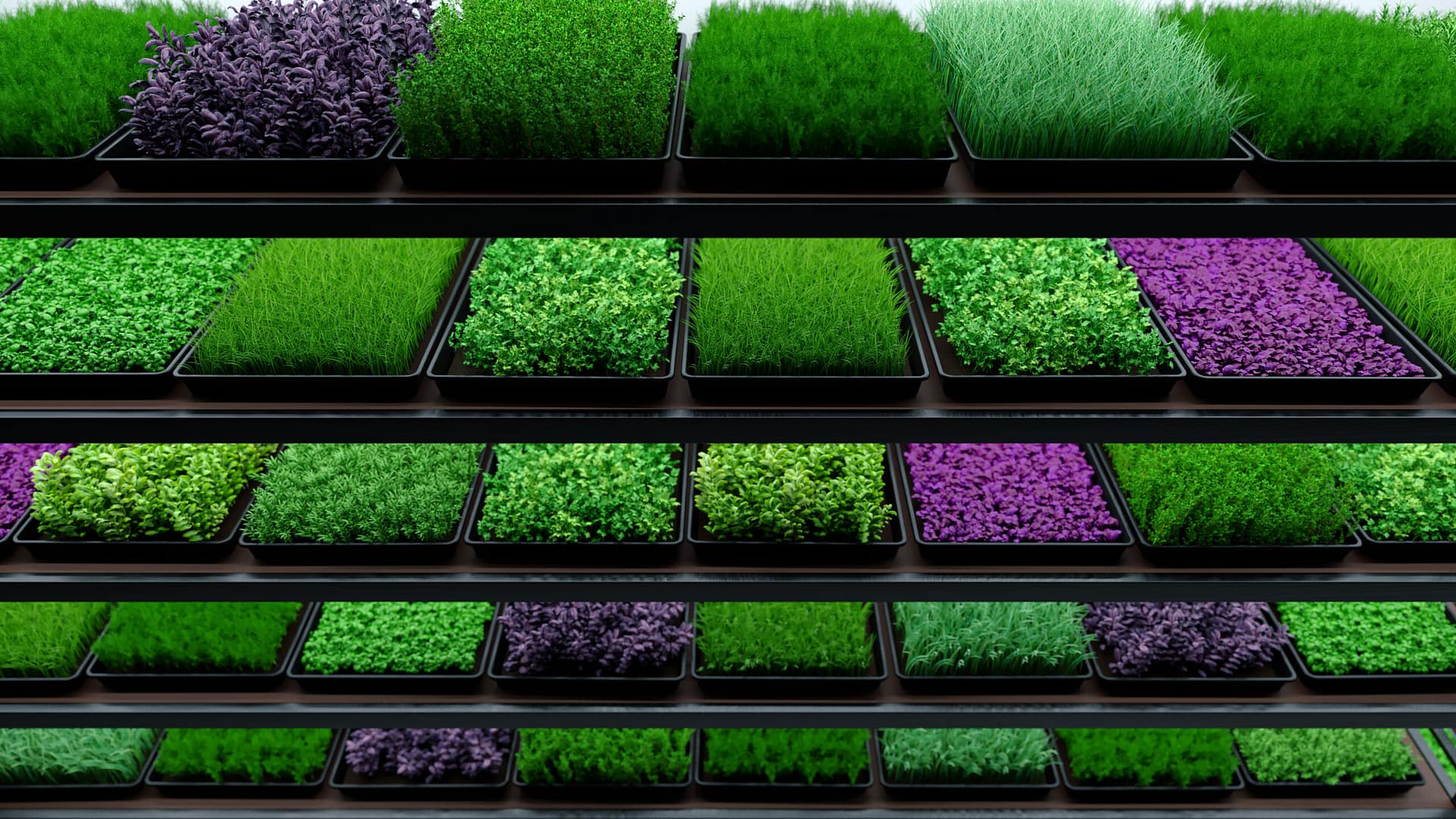 Indoor vertical farm. Spice and seasoning. Parsley, dill, basil, onion, rosemary, mint, thyme. Hydroponic microgreens plant factory. Led lights. 3d illustration.